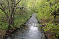 Contratti di Fiume: al via un AVVISO per la concessione di contributi agli Enti locali