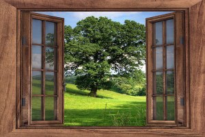 “Natura alla finestra”, un progetto di scienza partecipata