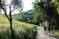 “ViVi il Verde - passeggiate patrimoniali: natura e cultura” 2025: finanziati 5 progetti per 40 mila euro