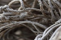 La carta della comunità patrimoniale cervese