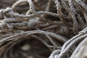 La carta della comunità patrimoniale cervese