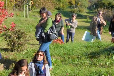 Paesaggio e rischio (archiviata)