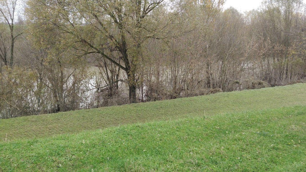 10_il fiume Reno.jpg