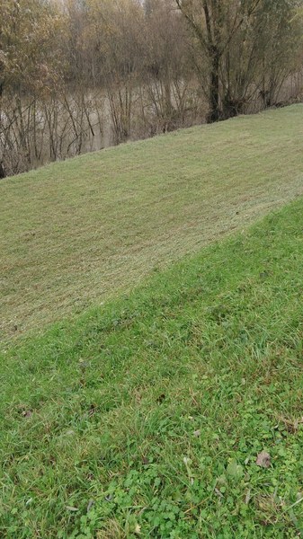 11_il fiume Reno.jpg