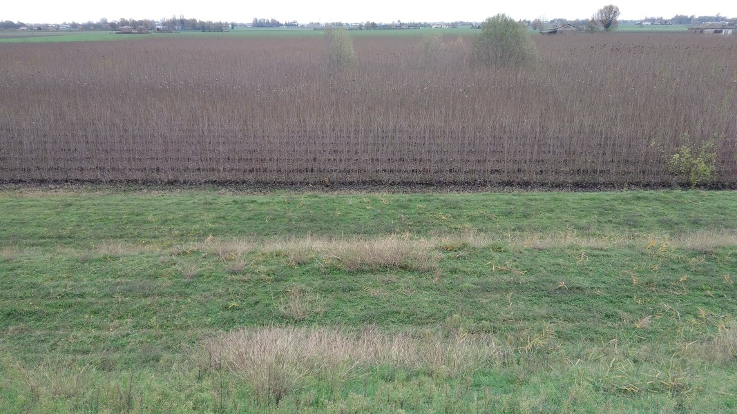 12_argine e paesaggio agricolo.jpg