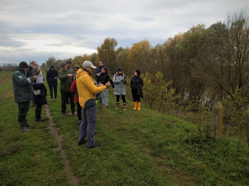 8_riferimento lineare.jpg